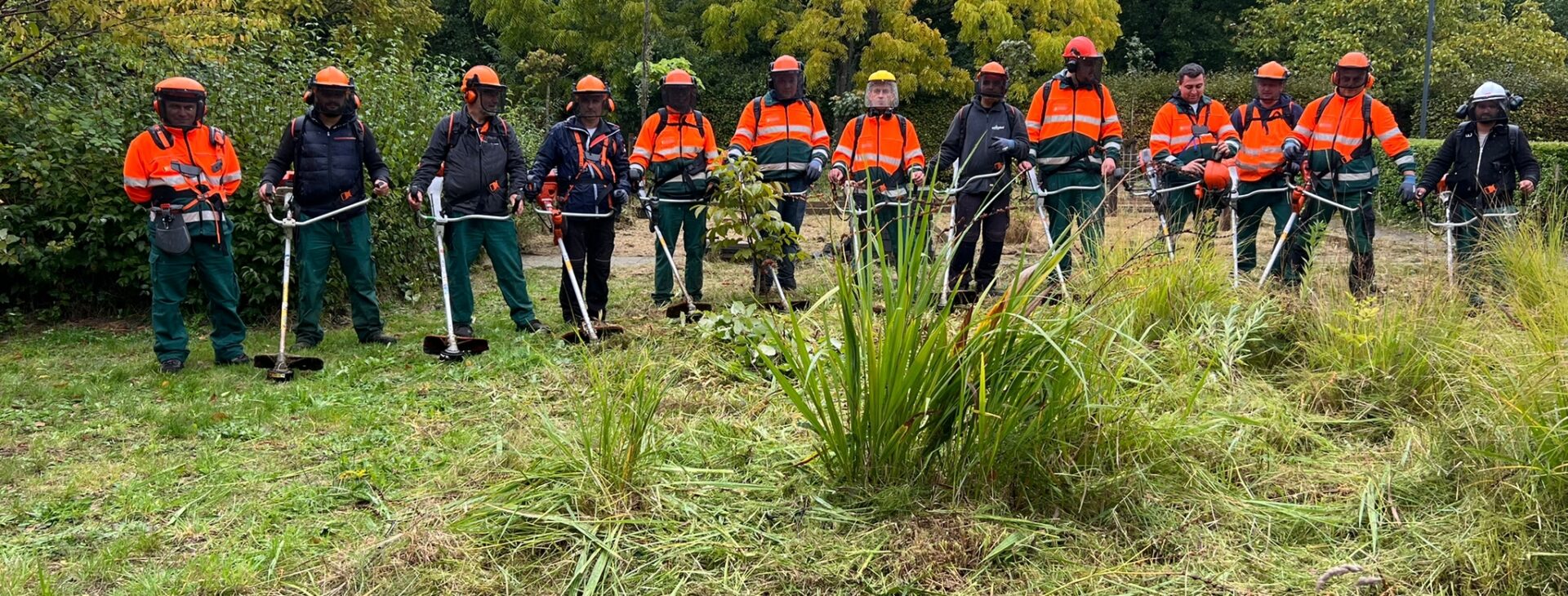 Pekflex Groenbeheer waarborgt uw werkzaamheden met gecertificeerde personeel snoei- bosmaai & werken langs de weg. 